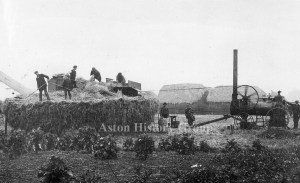 Farming, old photo of steam engine with hayricks in Aston parish.